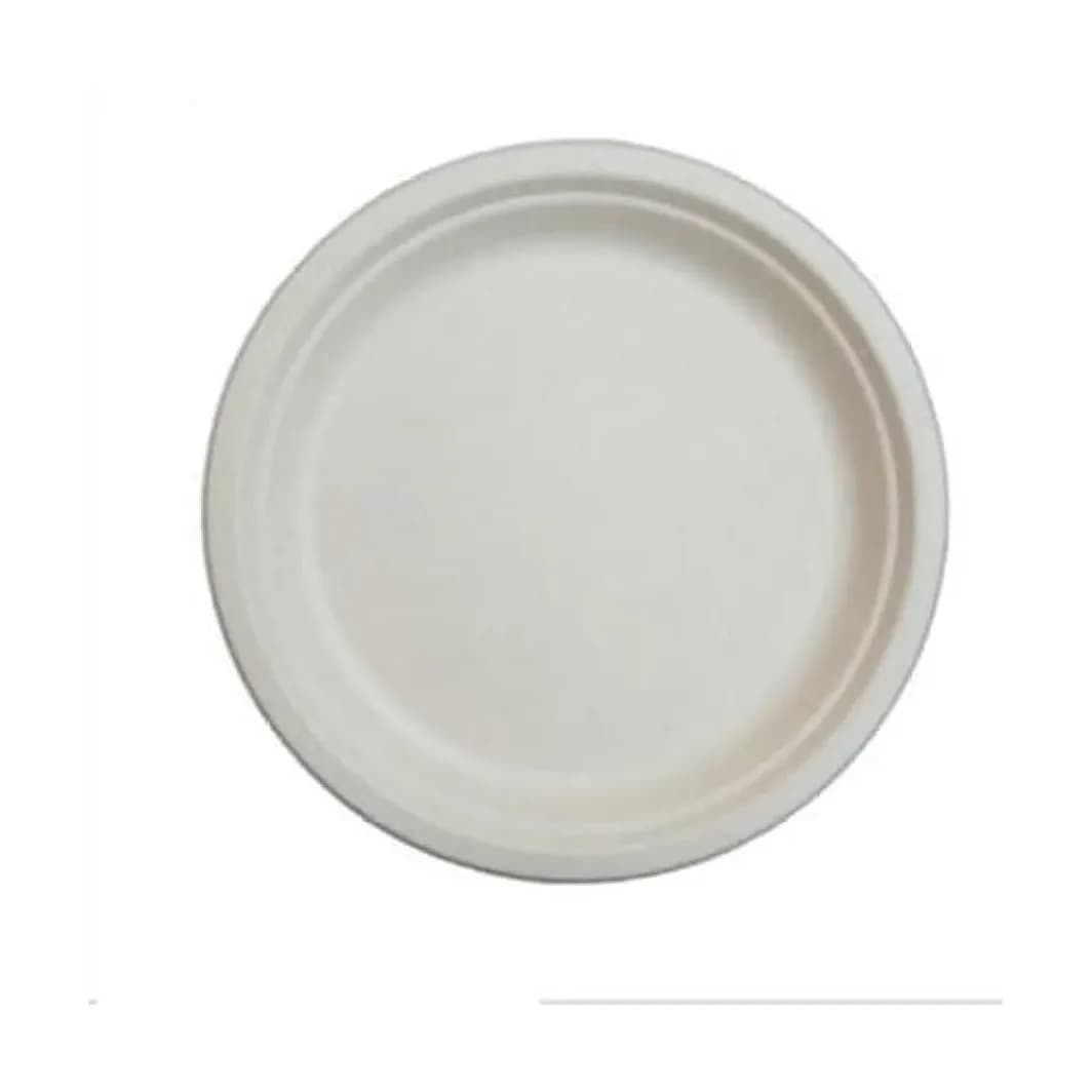 Sugarcane Bagasse Plate